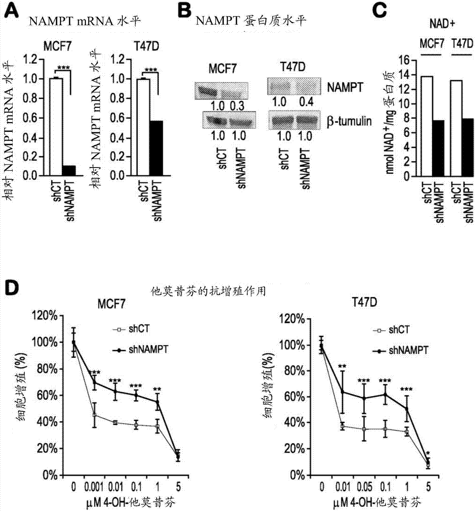 Methods and compositions for enhancing cancer therapy