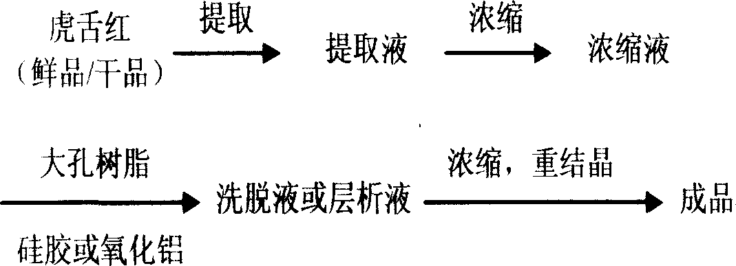 Preparation method of Ardisia mamillata B and uses thereof