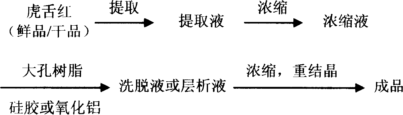 Preparation method of Ardisia mamillata B and uses thereof