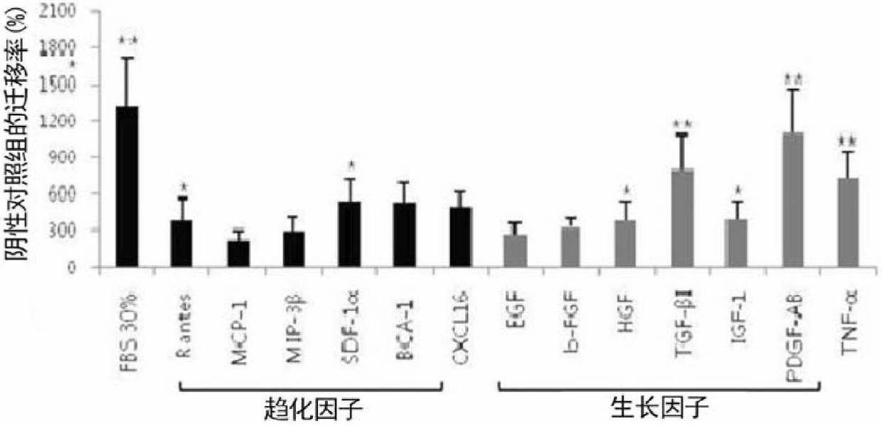 Method for inducing migration of adult stem cells derived from adipose tissue