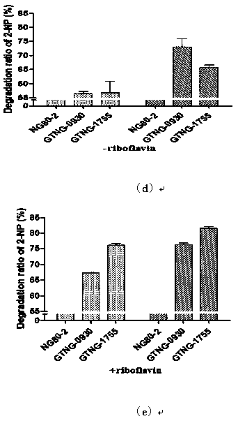 Two high-temperature-resistant engineering bacteria capable of effectively degrading nitroalkane-type compounds