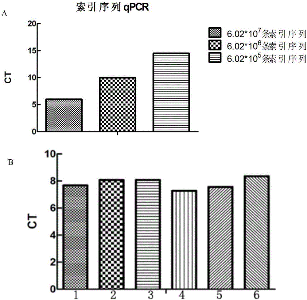 Molecular marker micro-bead and high-throughput single cell sequencing method based on same