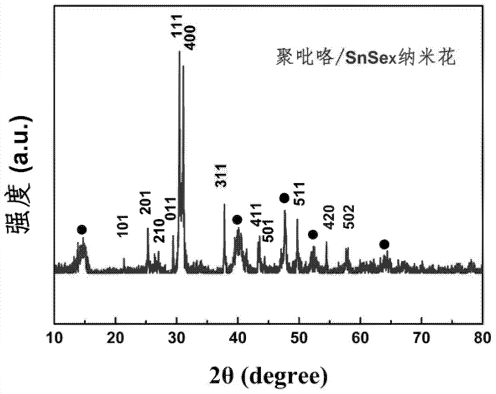 A conductive polymer/snse for sodium-ion batteries  <sub>x</sub> Nanoflower negative electrode composite material and preparation method thereof