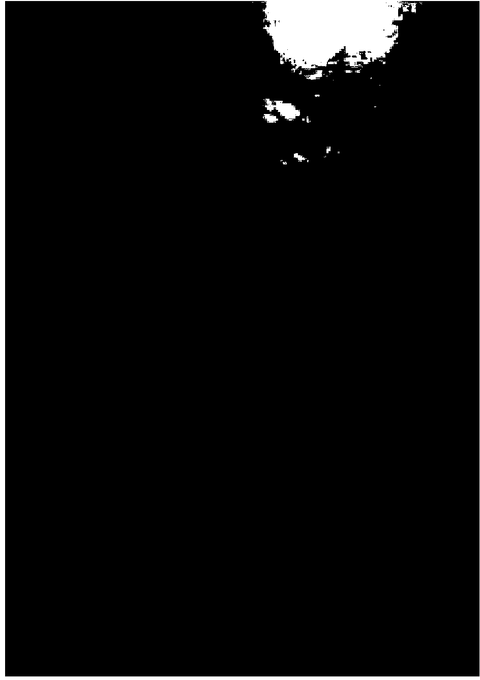 Manometer layered silicate clay modified phenolic resin and preparation method thereof