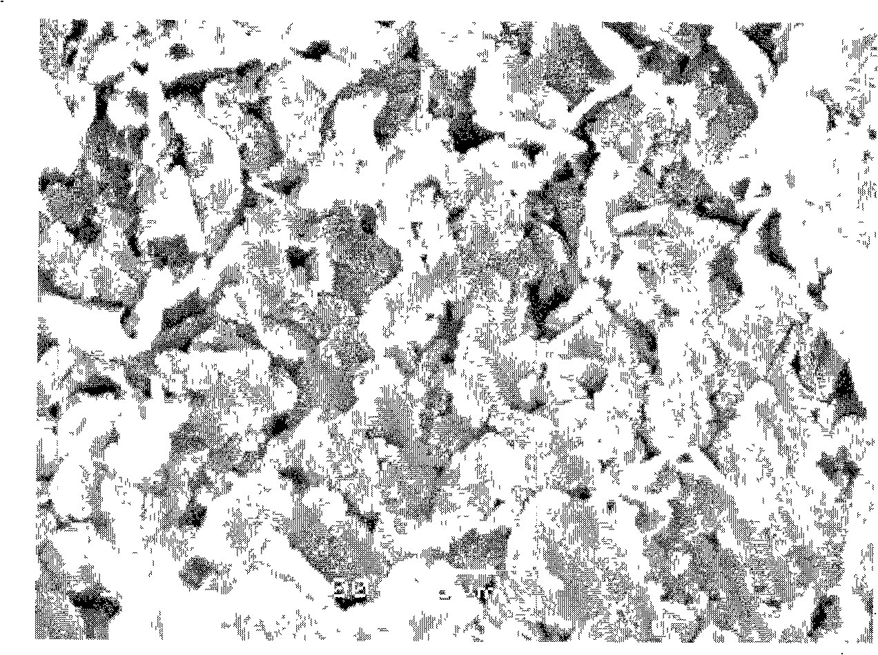 Nano magnesium hydrate combustion inhibitor using agustite as crystal nucleon component and preparation method