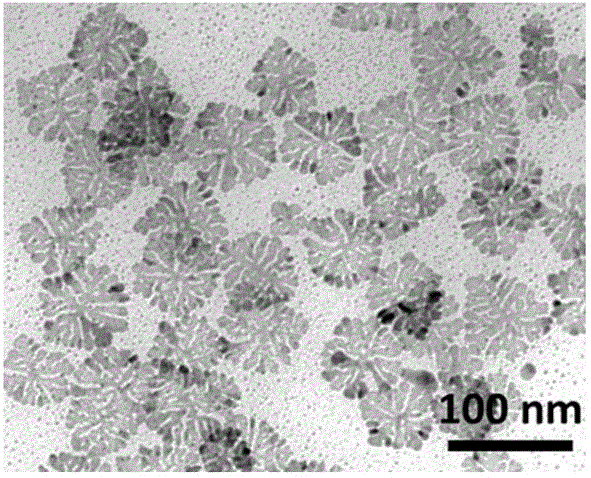 Dentritic two-dimensional palladium-silver nanosheet and preparation method thereof