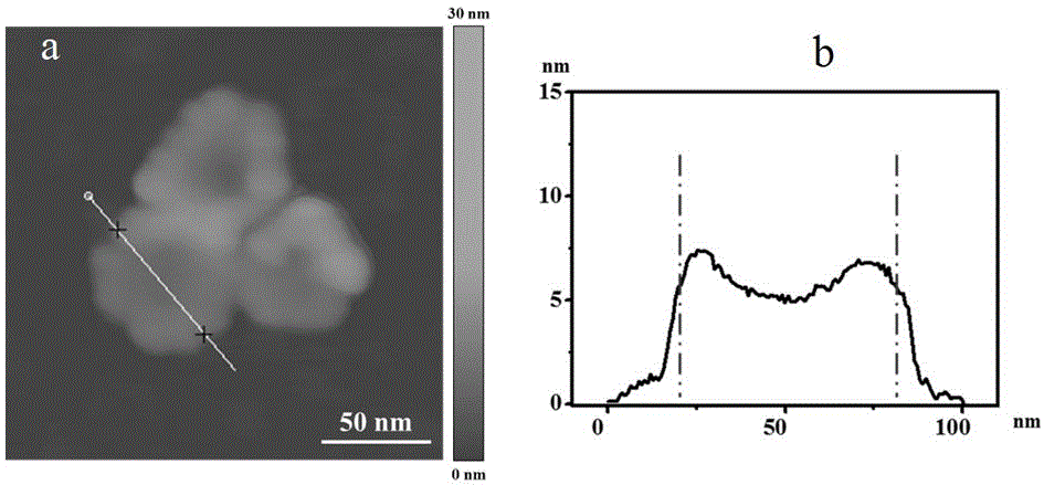 Dentritic two-dimensional palladium-silver nanosheet and preparation method thereof