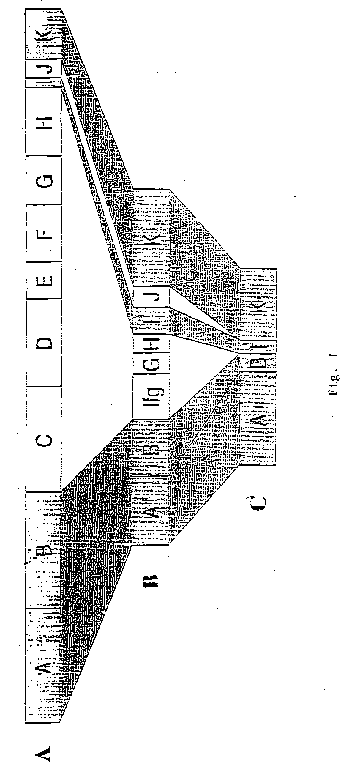 Groups of Borrelia burgdorferi and Borrelia afzelii that cause Lyme Disease in humans