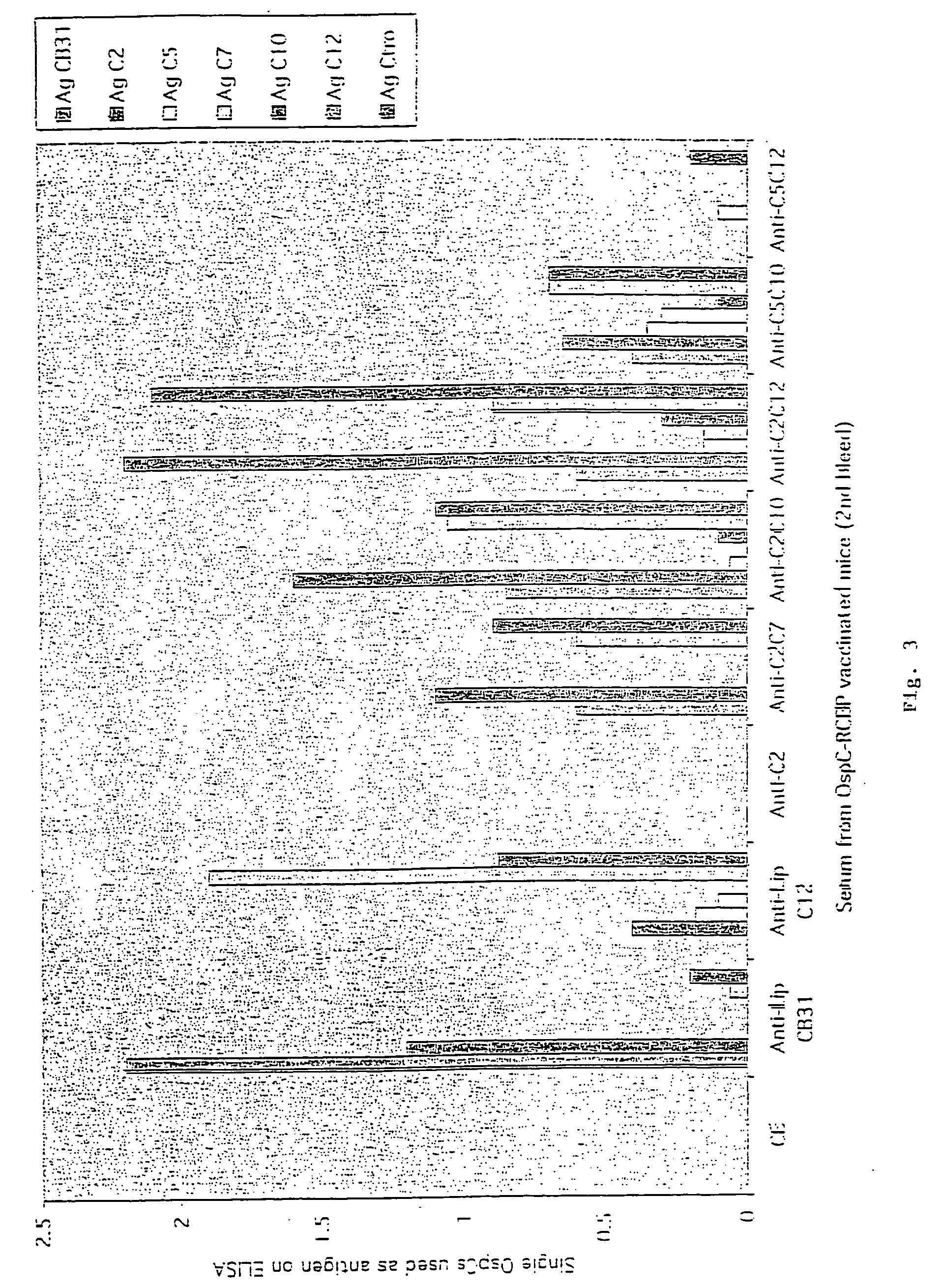 Groups of Borrelia burgdorferi and Borrelia afzelii that cause Lyme Disease in humans