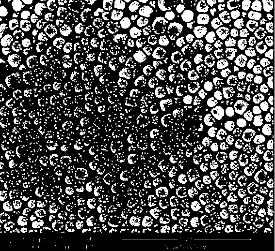 Method for observing barium titanate superfine powder through scanning electron microscope