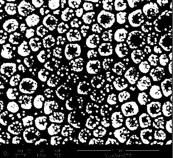 Method for observing barium titanate superfine powder through scanning electron microscope