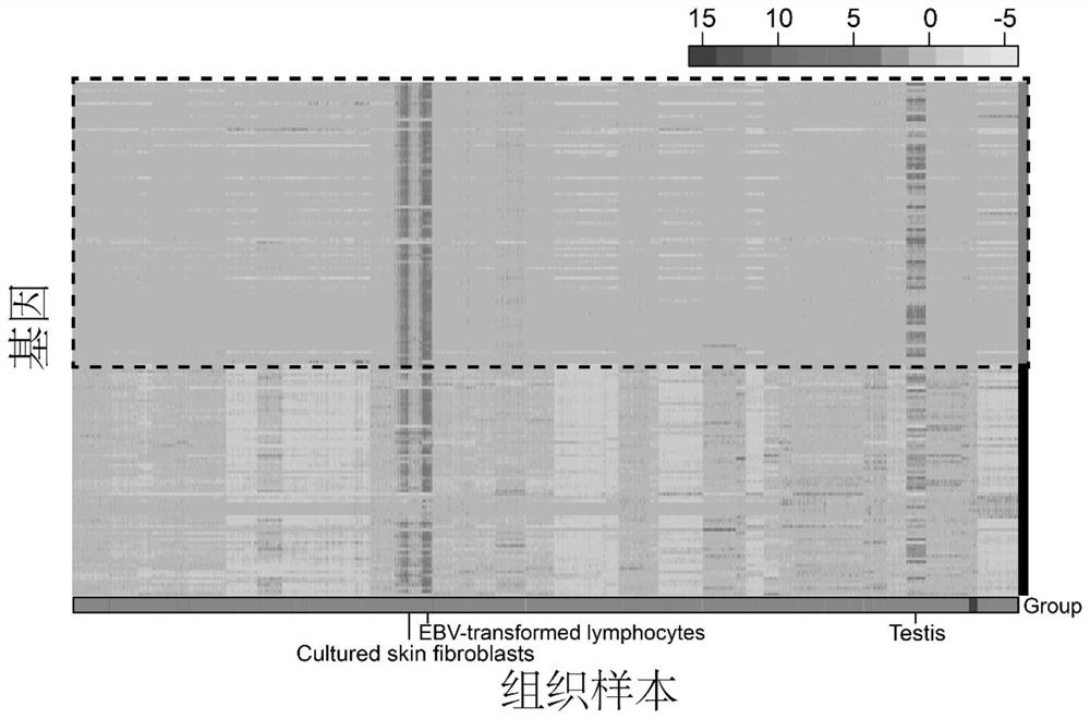 Model for predicting cell proliferation activity by taking 87 genes as biomarkers