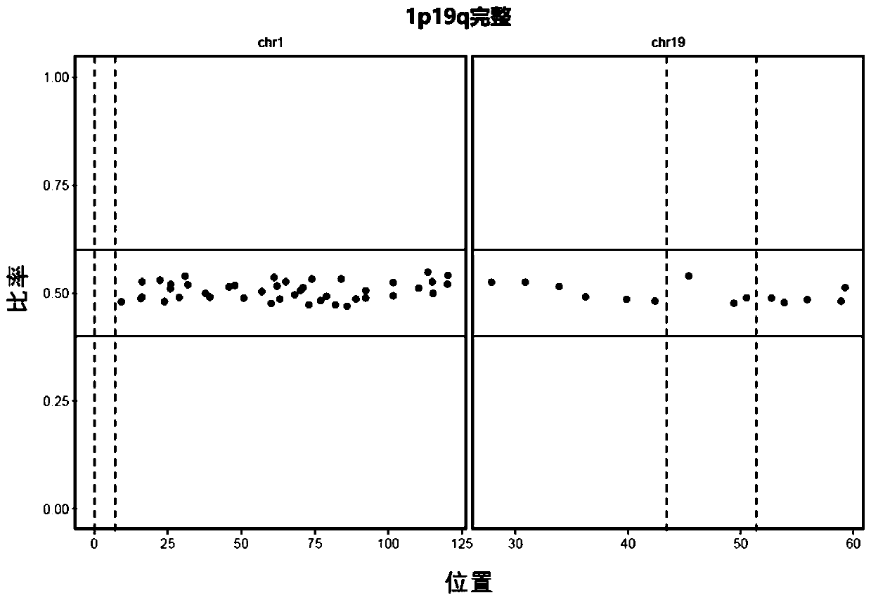 Neuroglioma 1p/19q co-deletion detection system based on next generation sequencing