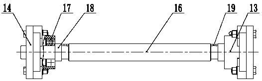 Whole-row seedling ejecting device based on worm cam mechanism