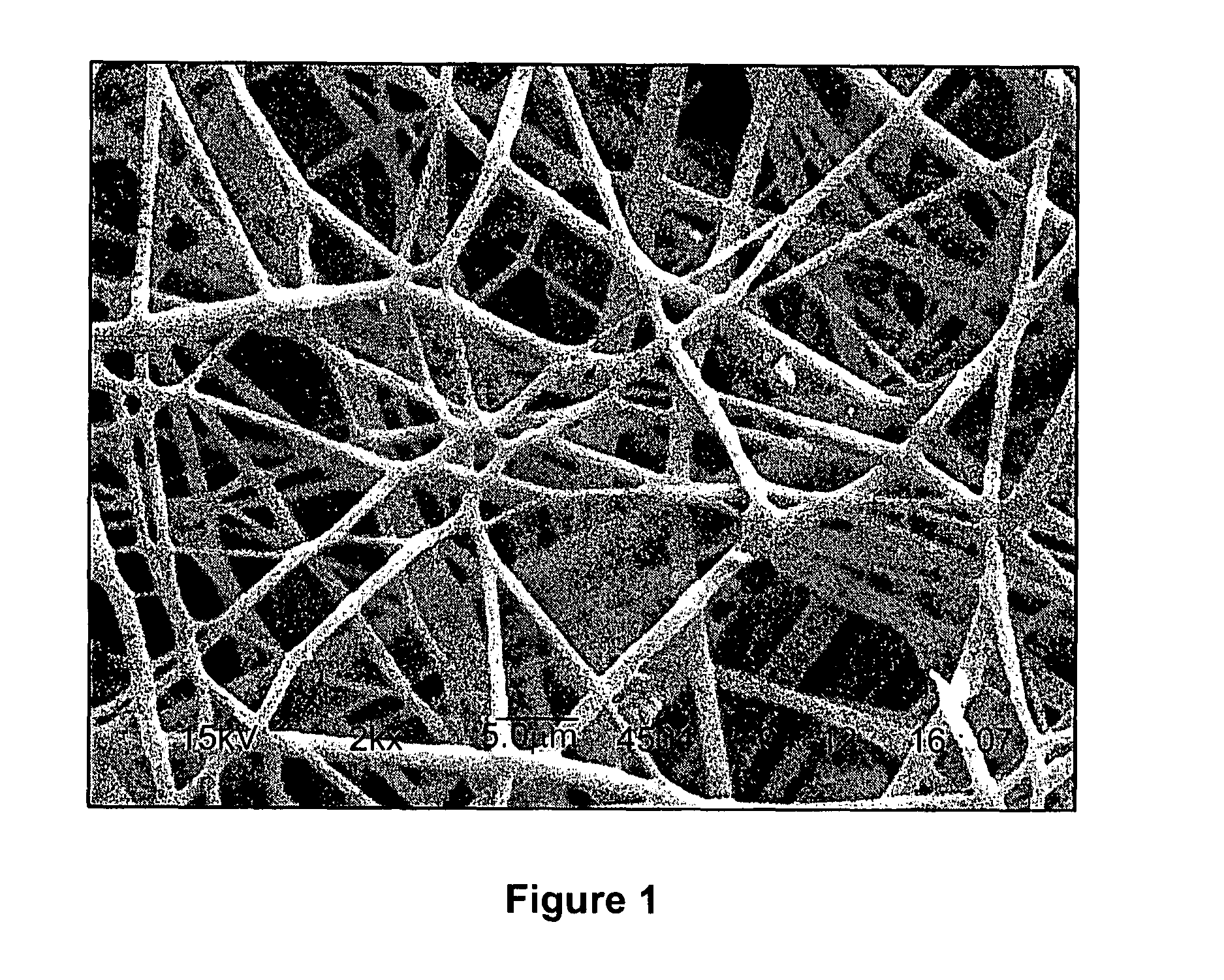 Calcium Phosphate Nanofibers