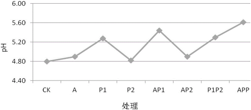 APP combined remediation method for cultivated land heavy metal pollution remediation