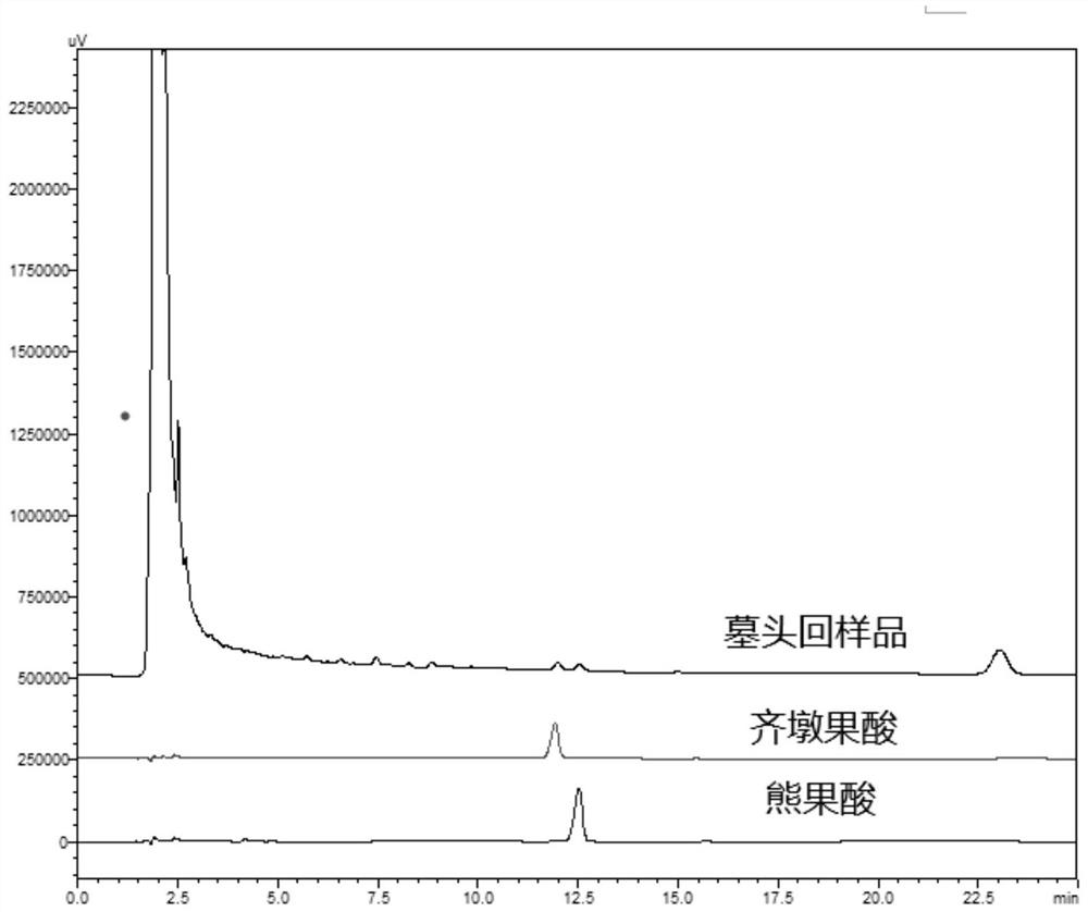 Method for determining oleanolic acid content and ursolic acid content in patrinia heterophylla by ultra-high performance liquid chromatography