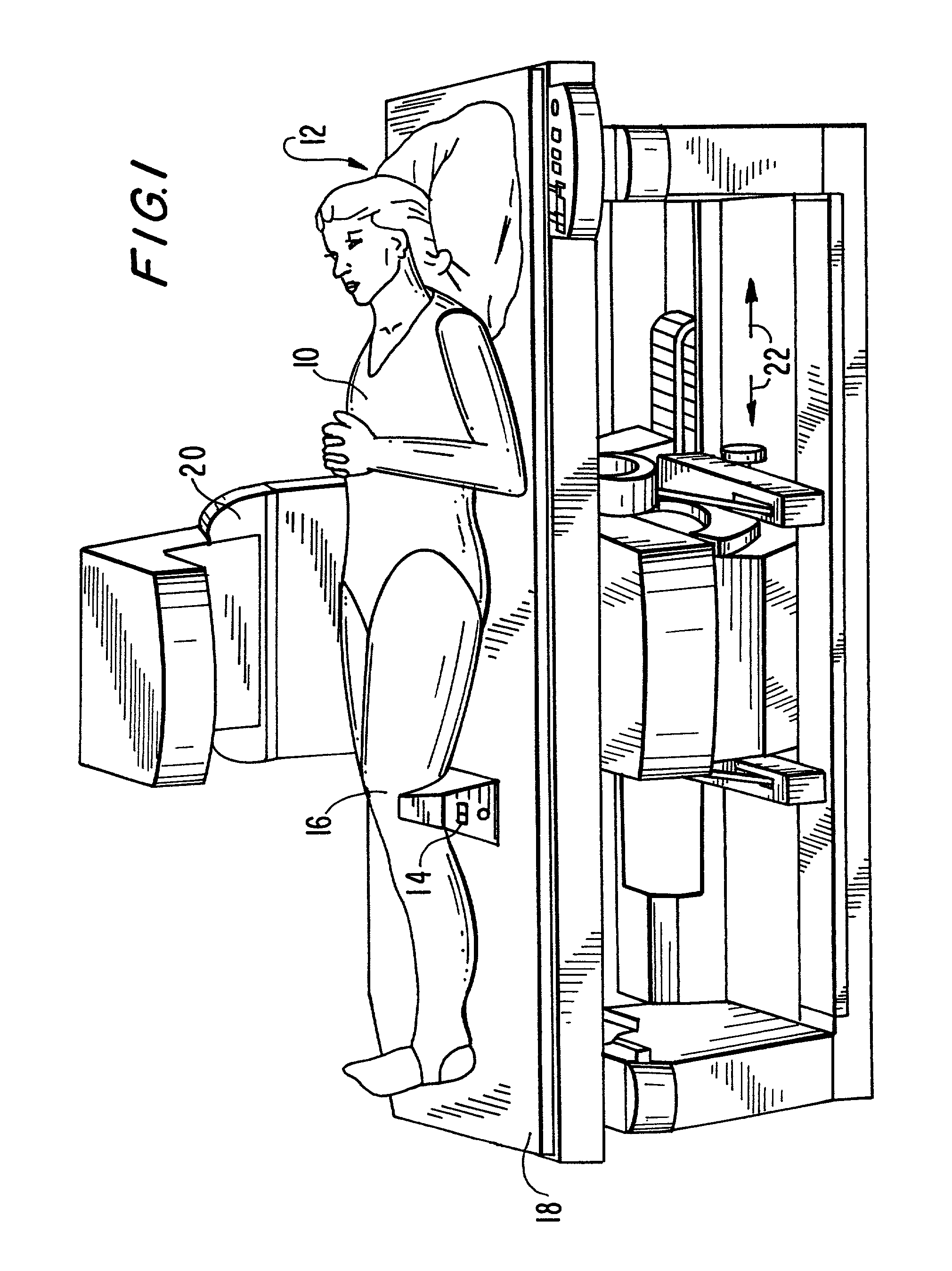 Device for the calibration and standardization of hip rotation