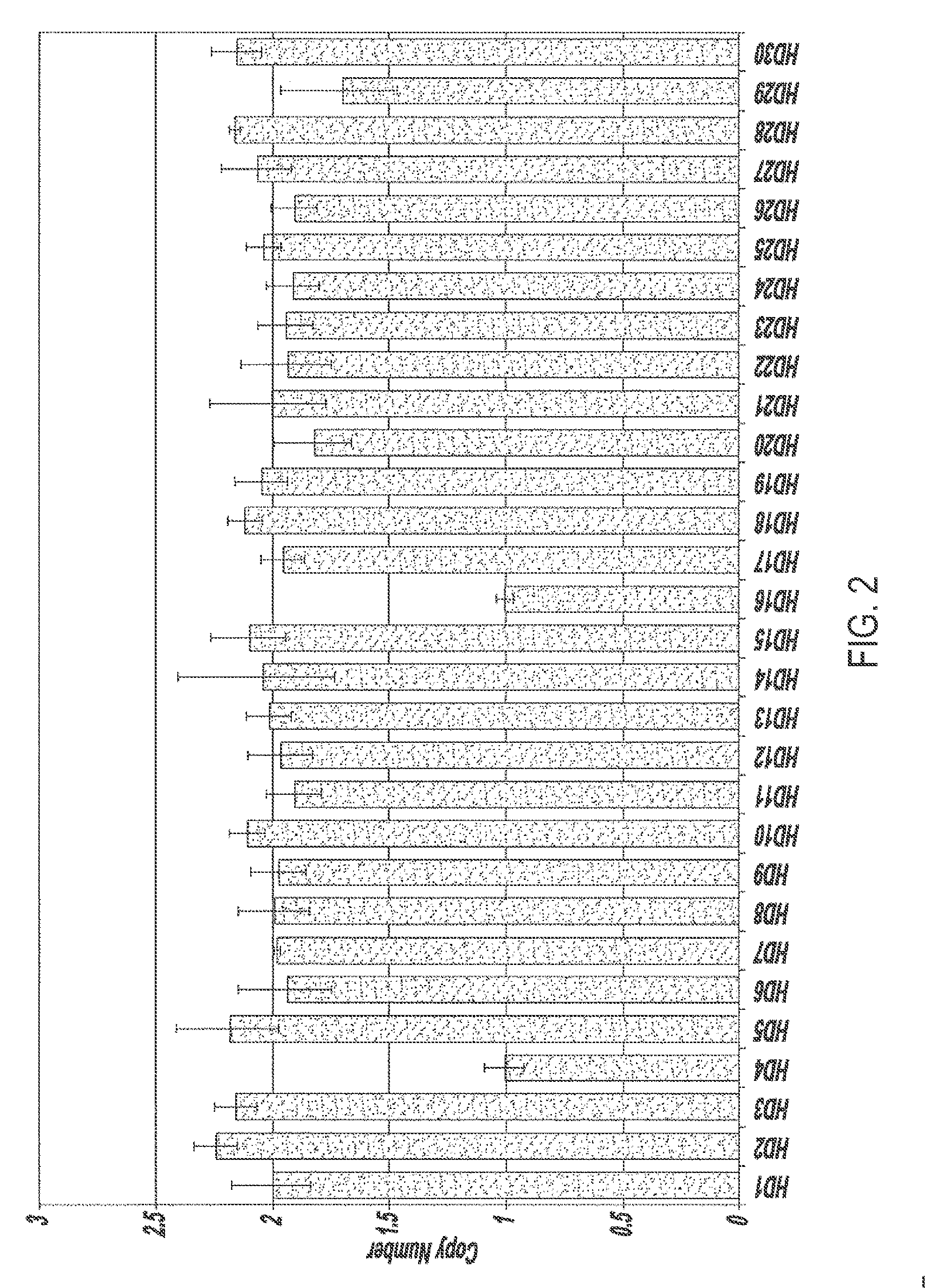 Detection of gene duplications