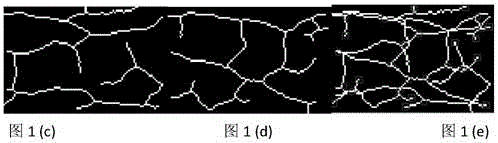 Finger vein fusion fuzzy vault realization method