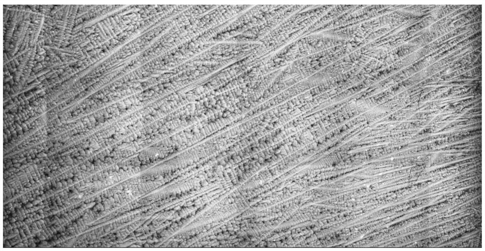 A Method for Dendrite Corrosion and Measurement of High Carbon Steel Slab