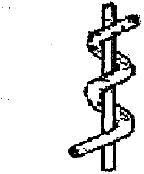 Elastic core-spun yarn and application thereof