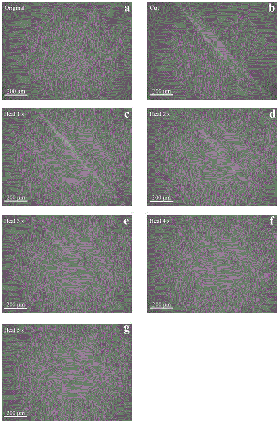 A method for preparing metal surface film with rapid self-healing ability