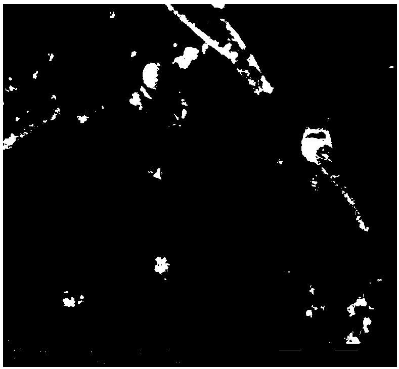 Compound pulverized fuel ash activator and application