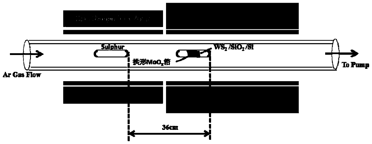 Preparation method for MoS2/WS2 vertical heterojunction