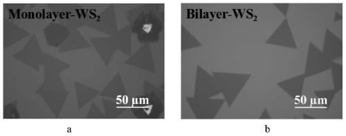 Preparation method for MoS2/WS2 vertical heterojunction