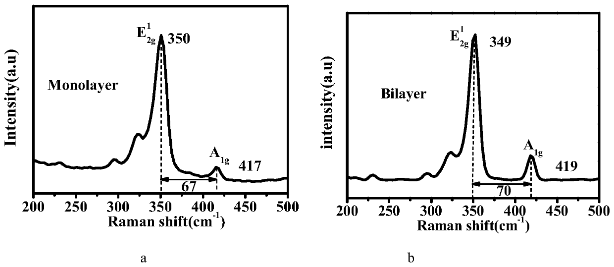 Preparation method for MoS2/WS2 vertical heterojunction