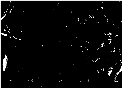 Titanium dioxide nanowire and preparation method thereof