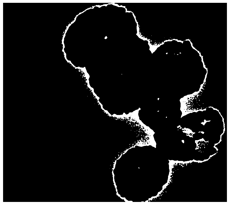 Selenium/silica/gold nano composite particles as well as preparation method and application thereof