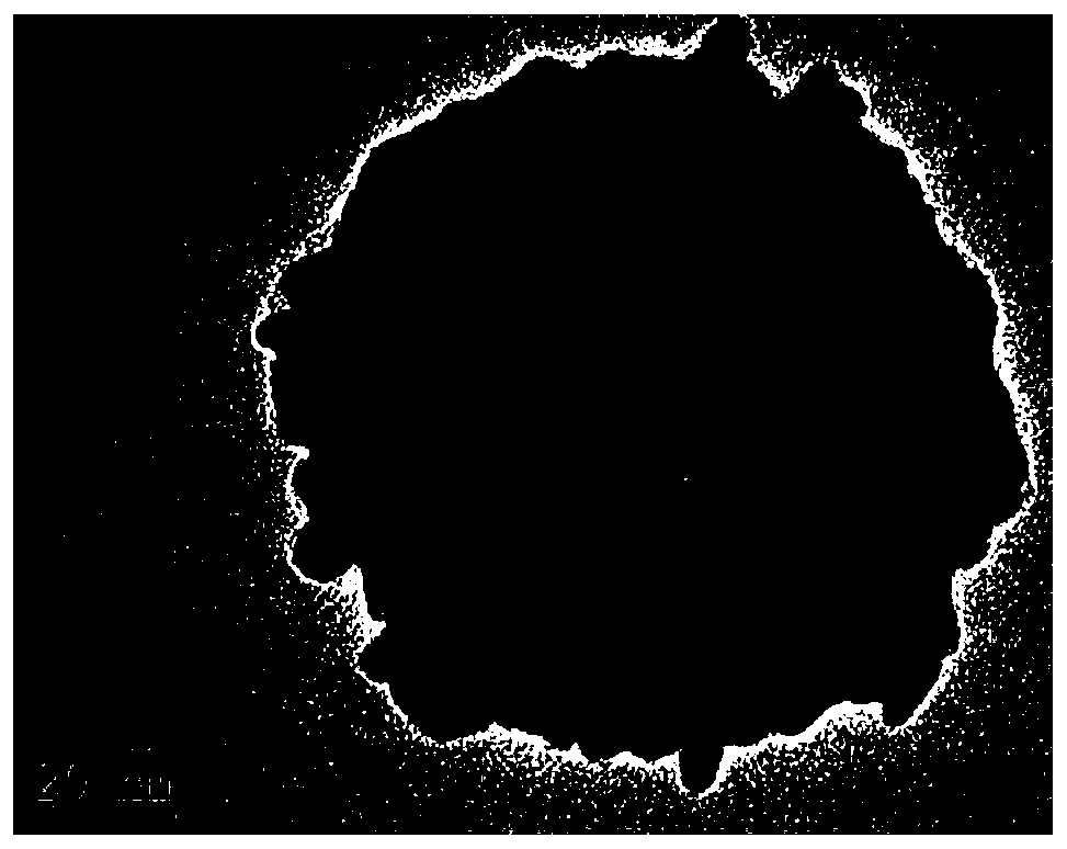 Selenium/silica/gold nano composite particles as well as preparation method and application thereof