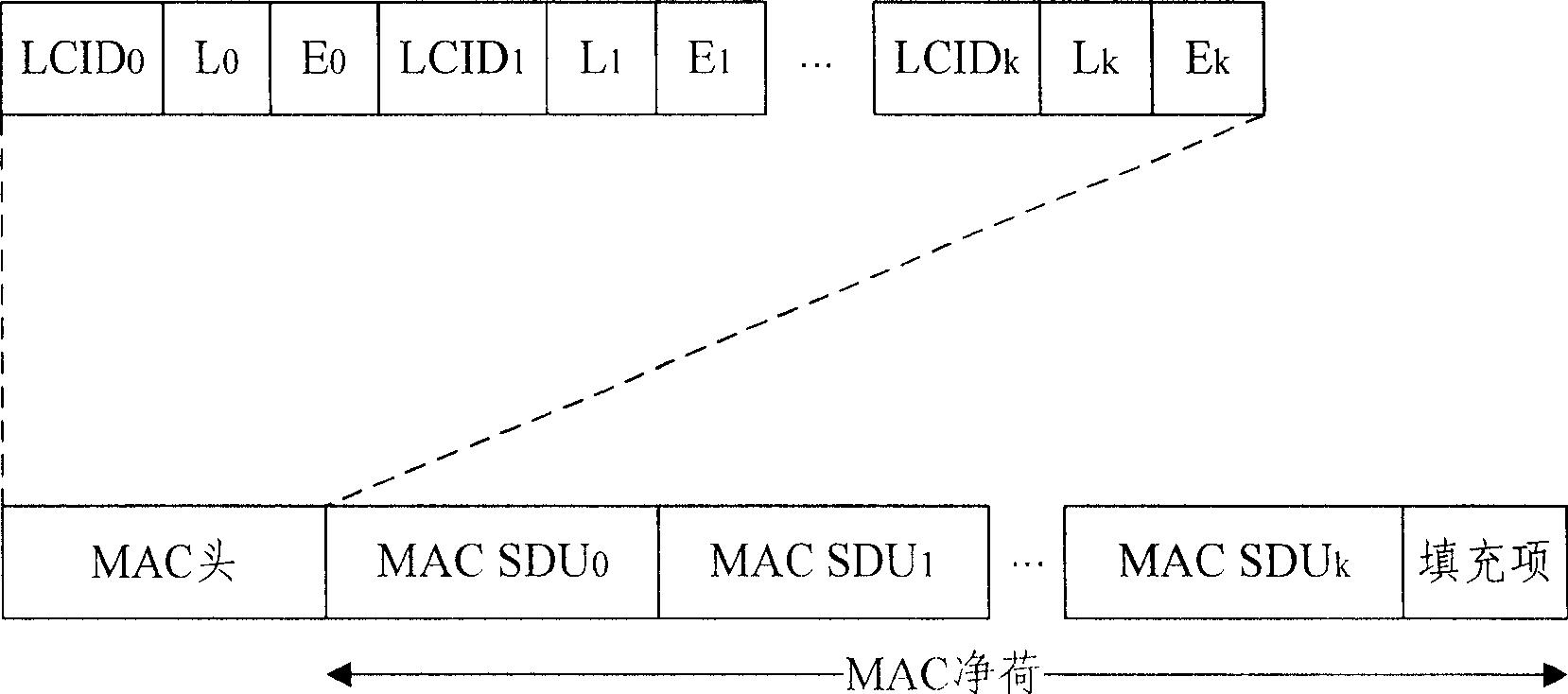 Processing method, apparatus and system for protocol data unit filling