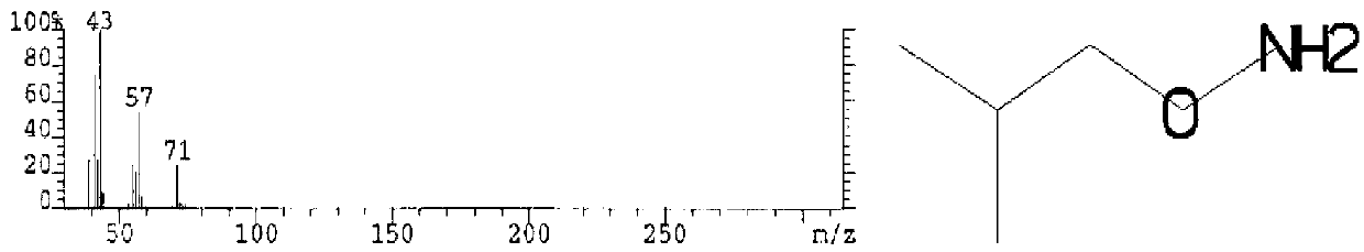 Cyclocarya paliurus extract and application thereof