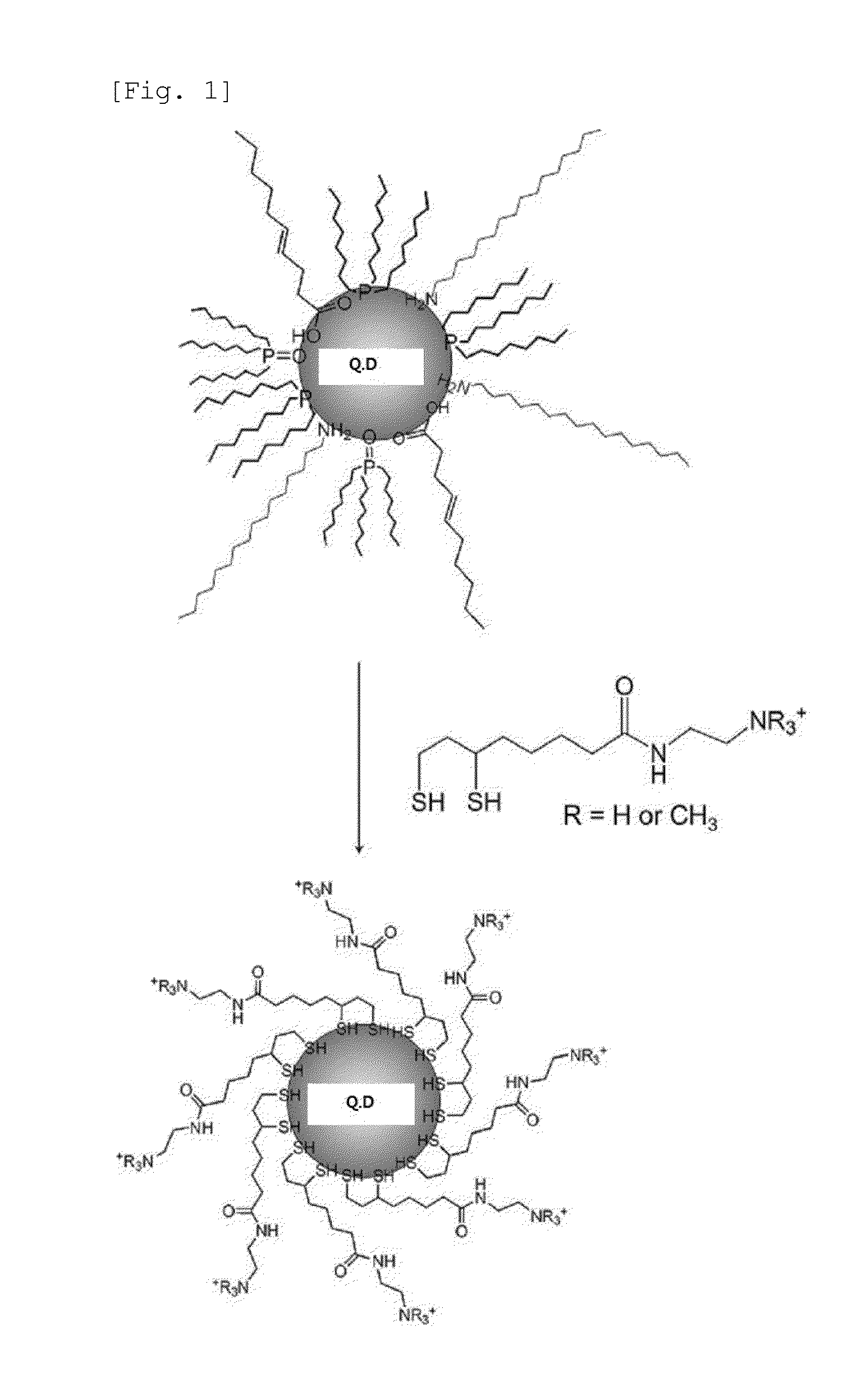 Sensor for detecting explosive, and preparation method thereof