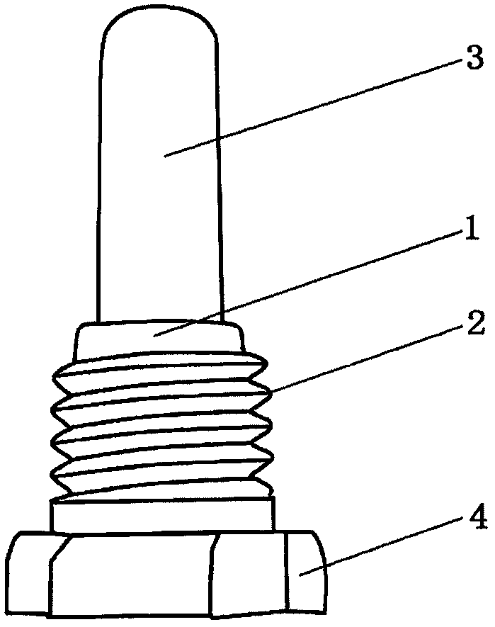 Protective cleaning head