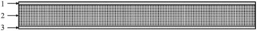 A diatom plate with photocatalytic function and its production process