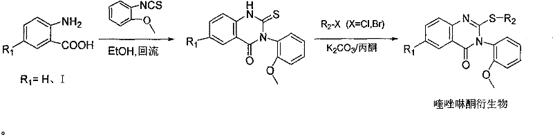 Quinazolinone derivatives and their preparation and application