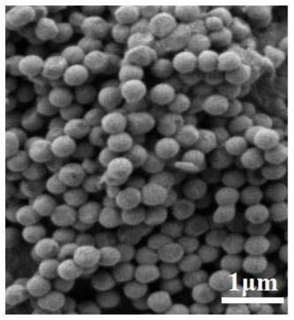 Intelligent composite material for controlled drug releasing and monitoring