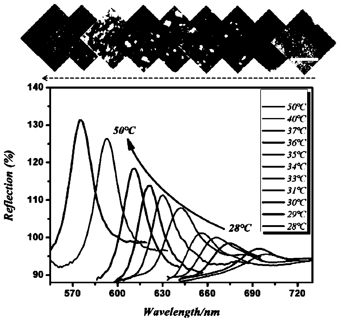 Intelligent composite material for controlled drug releasing and monitoring