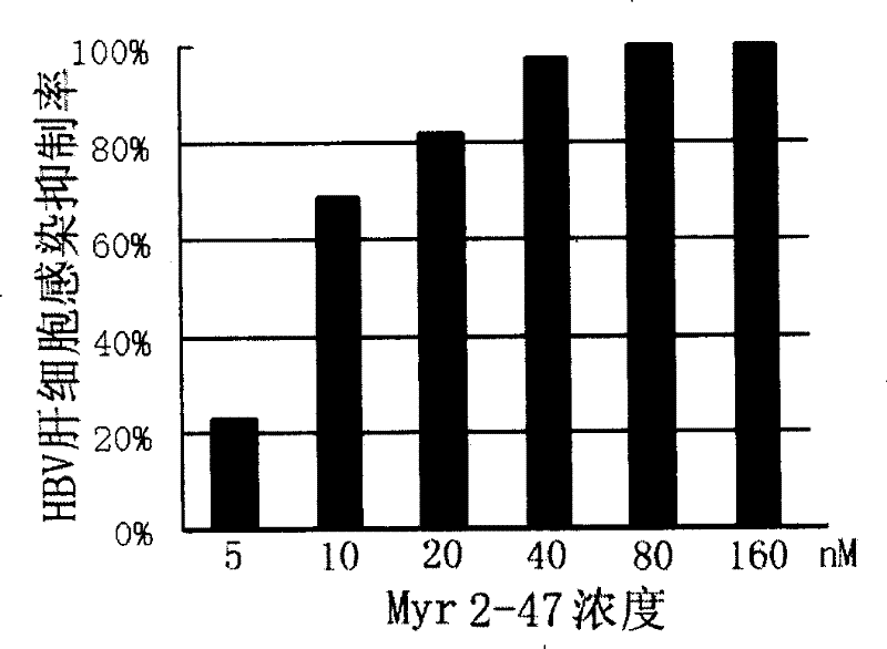 Hepatitis B virus surface L protein related peptide