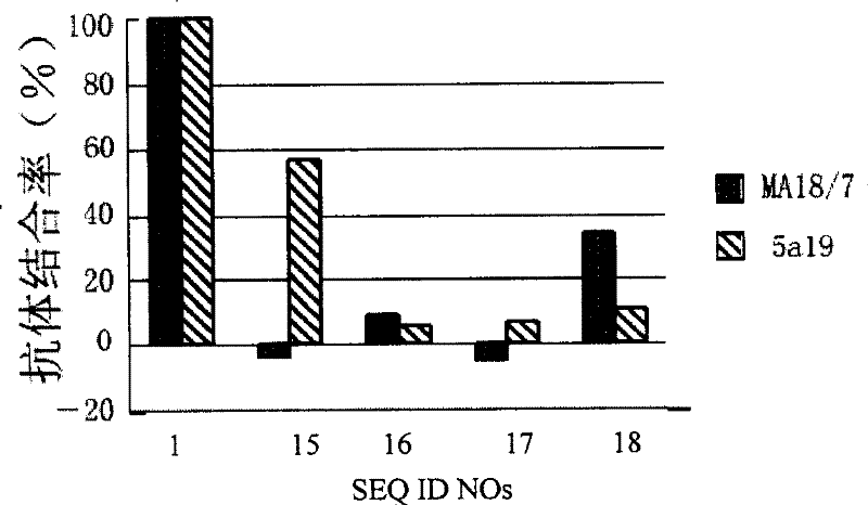 Hepatitis B virus surface L protein related peptide