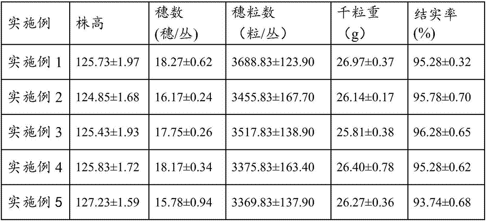 Method for regulating heavy metal cadmium accumulation of rice