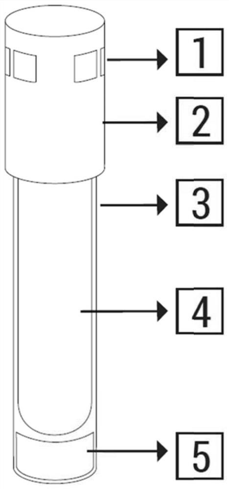 Biological indicators for determining efficacy of steam or heat sterilization process and methods of using same