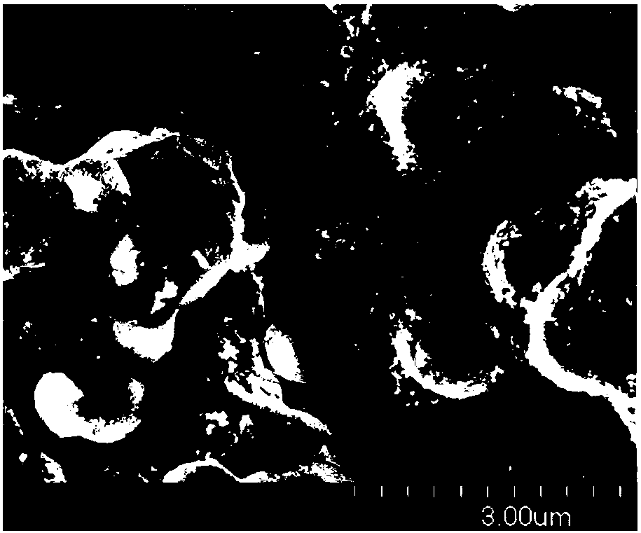 Lithium iron phosphate composite electrode with metal oxide coating layer on surface