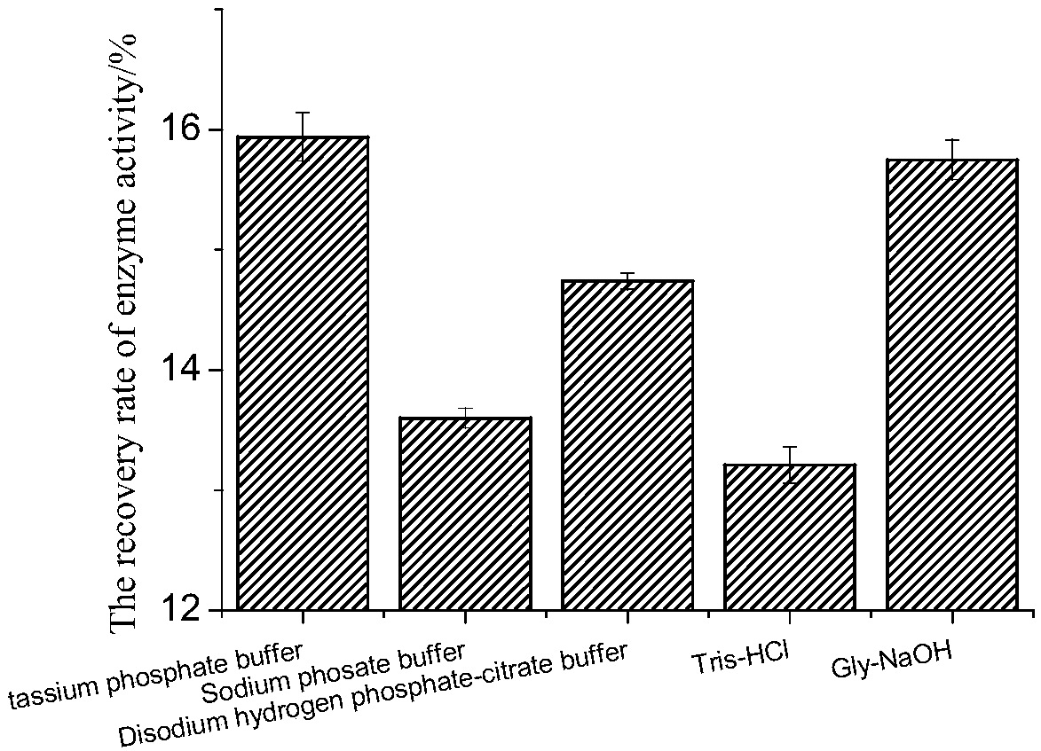 Immobilized lipase and preparation method thereof