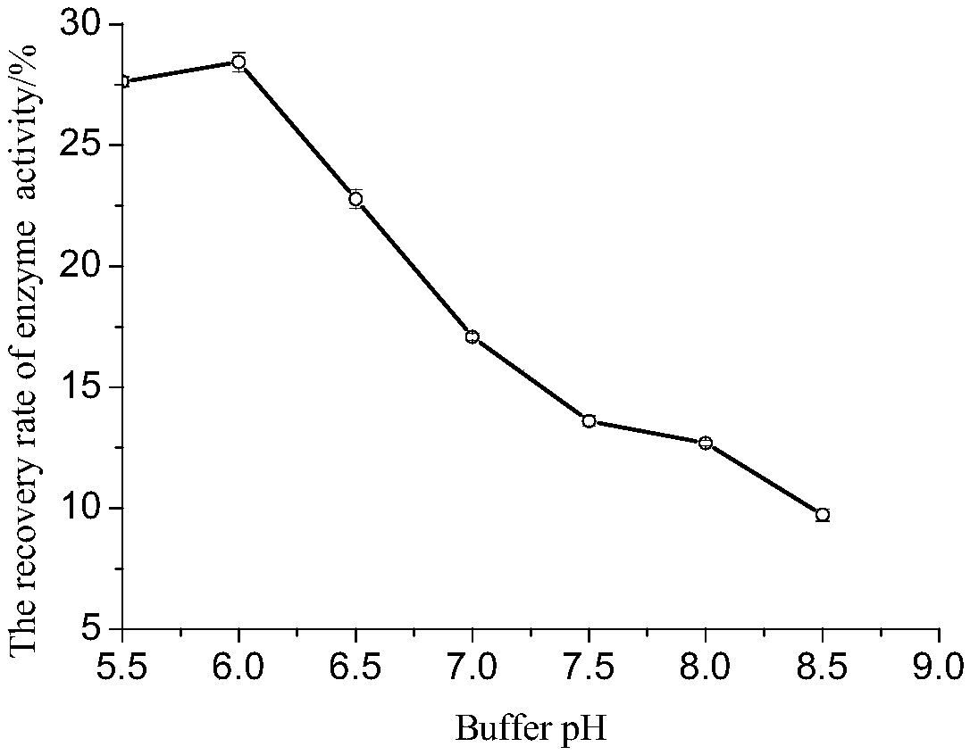 Immobilized lipase and preparation method thereof