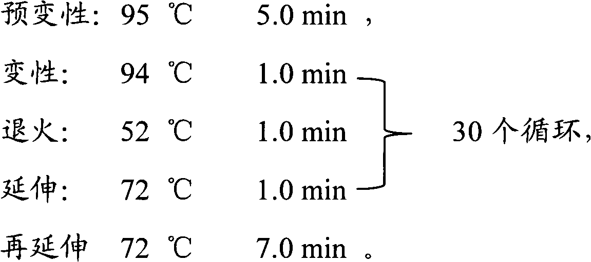 Method for identifying sashimi of thunnus obesus, thunnus alalunga and thunnus thynnus